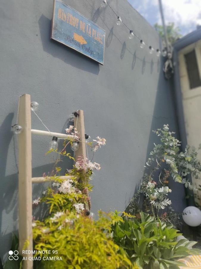 Le Cocon Des Hortillonnages D'Amiens Camon  Exteriér fotografie