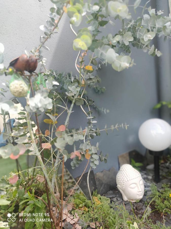 Le Cocon Des Hortillonnages D'Amiens Camon  Exteriér fotografie