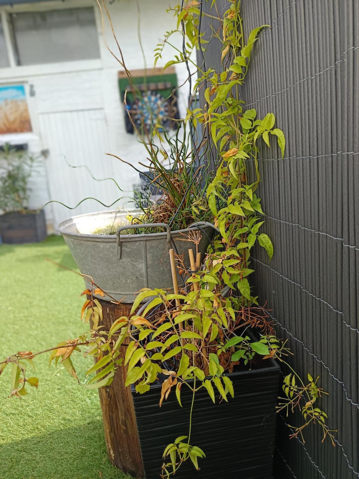 Le Cocon Des Hortillonnages D'Amiens Camon  Exteriér fotografie