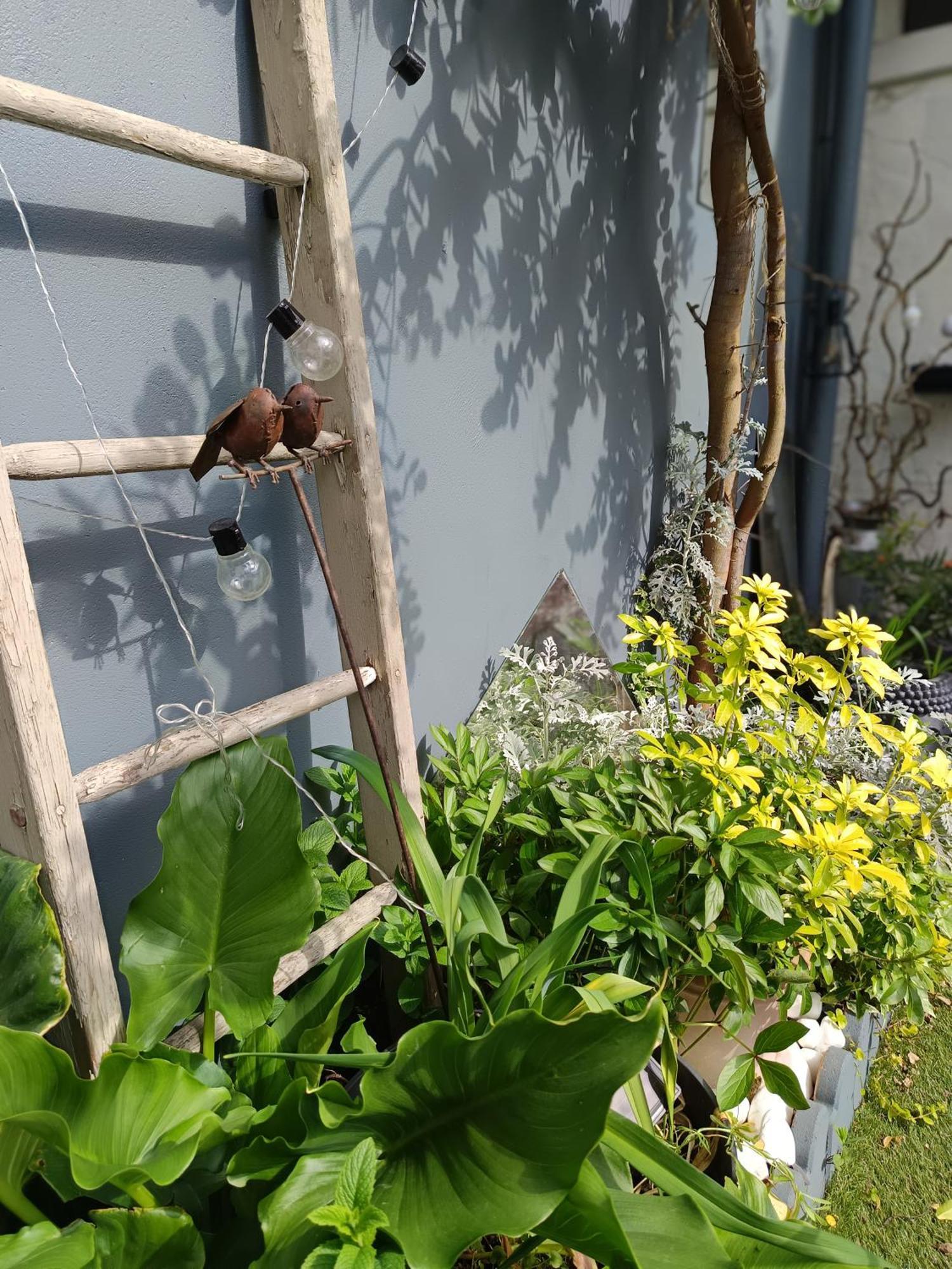 Le Cocon Des Hortillonnages D'Amiens Camon  Exteriér fotografie